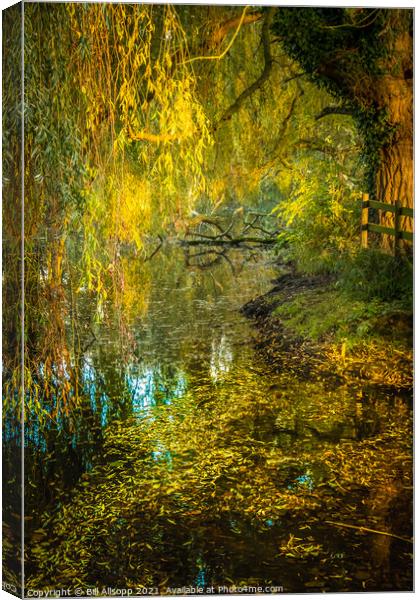 Weeping Willow. Canvas Print by Bill Allsopp