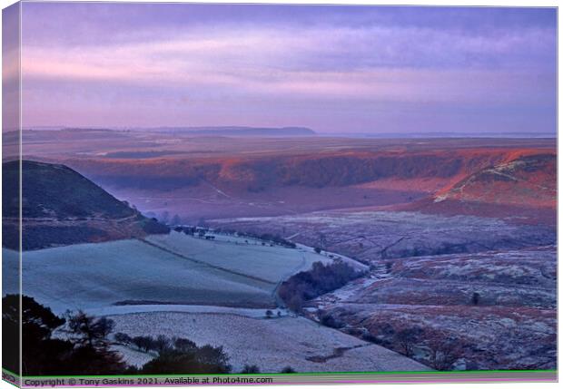 First Frost, Hole of Horcum North York Moors Canvas Print by Tony Gaskins