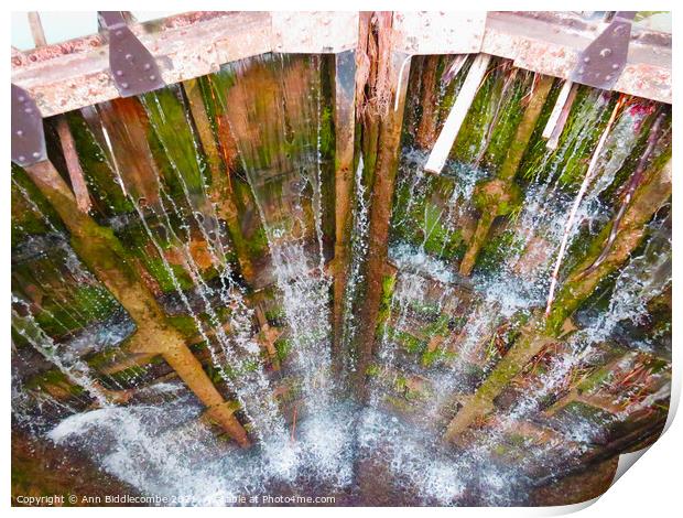 Looking down the lock gate Print by Ann Biddlecombe