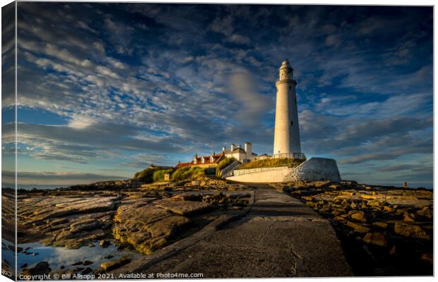 Standing proud. Canvas Print by Bill Allsopp