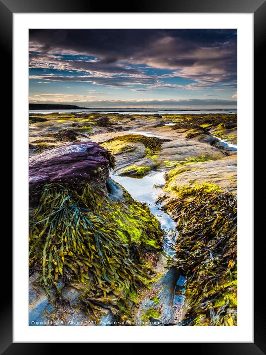 Rock Waves. Framed Mounted Print by Bill Allsopp