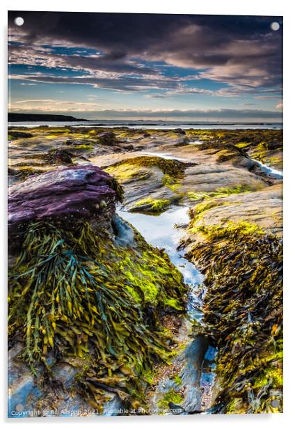 Rock Waves. Acrylic by Bill Allsopp