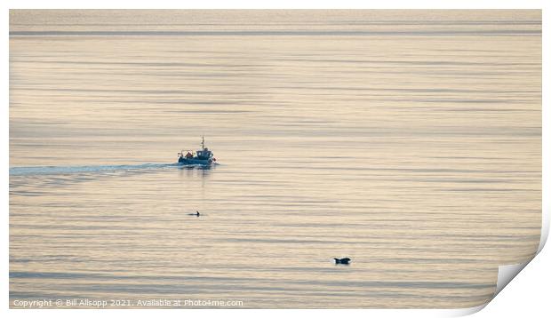 Fishing with dolphins. Print by Bill Allsopp