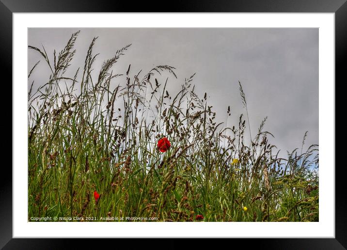 Majestic Poppies in the Wild Framed Mounted Print by Nicola Clark