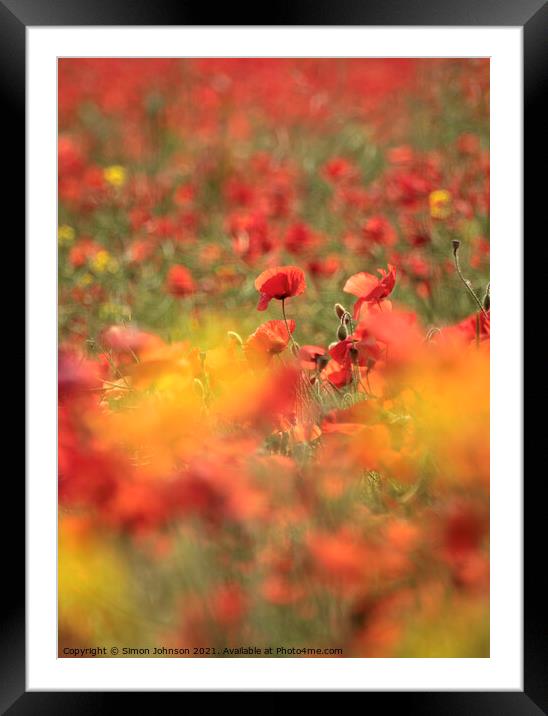 Diffused poppies Framed Mounted Print by Simon Johnson
