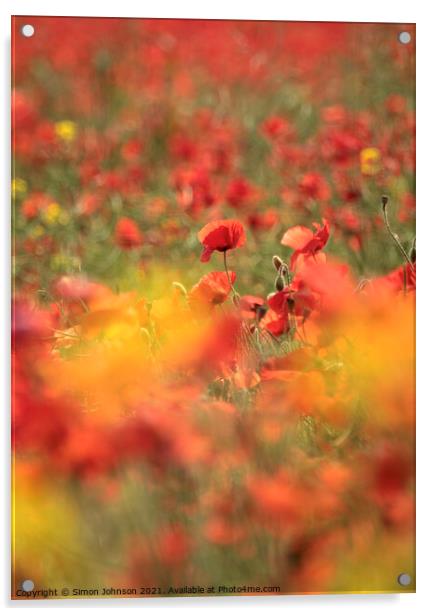 Diffused poppies Acrylic by Simon Johnson