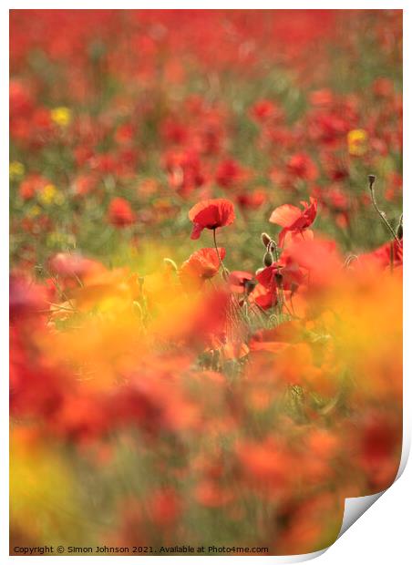 Diffused poppies Print by Simon Johnson