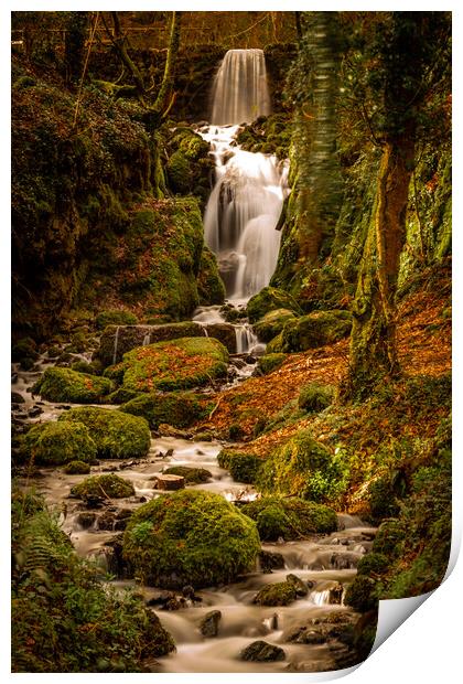 Clampitt Falls at Canonteign Devon Print by John Frid