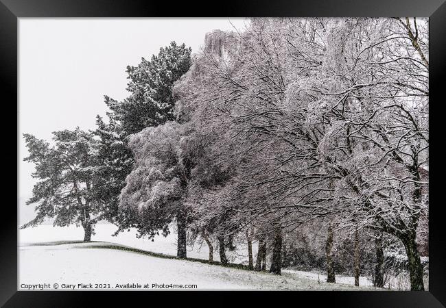Winter Snow covered line of trees Framed Print by That Foto