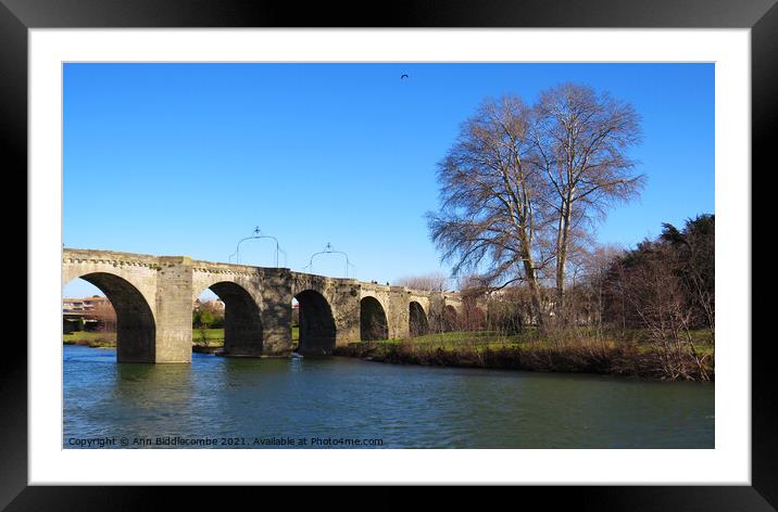 Bridge over the L'Aude River in France Framed Mounted Print by Ann Biddlecombe