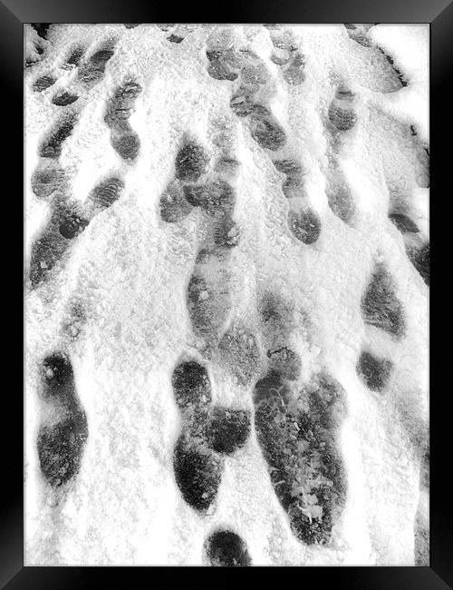 Snow Tracks Framed Print by Mike Sherman Photog