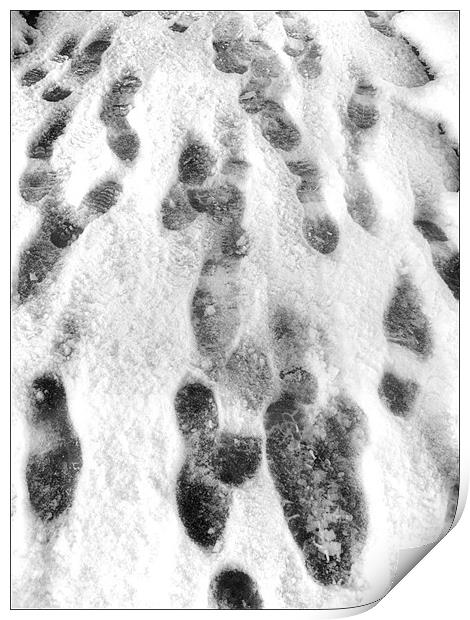 Snow Tracks Print by Mike Sherman Photog
