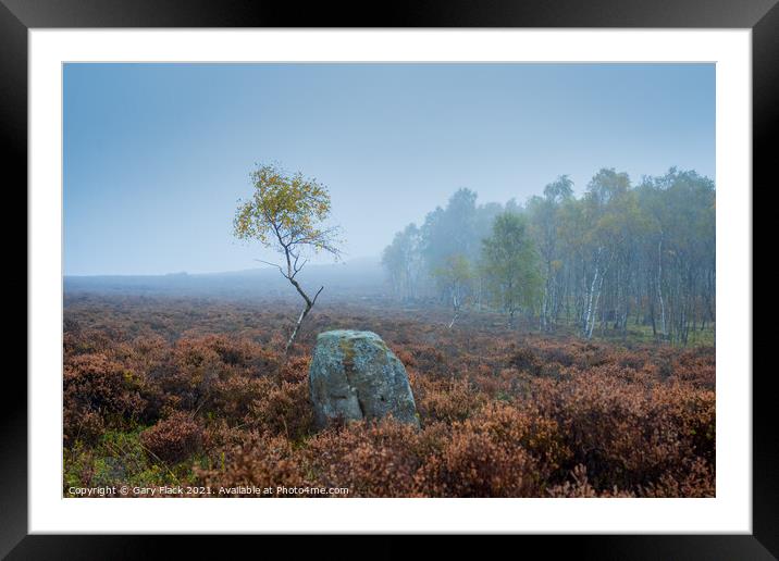 Lone Silver Birch Derbyshire Peak District on a misty day Framed Mounted Print by That Foto