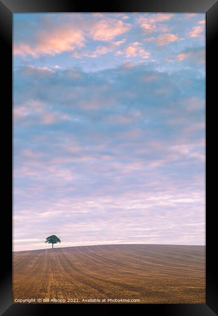 Lone tree at sunrise. Framed Print by Bill Allsopp