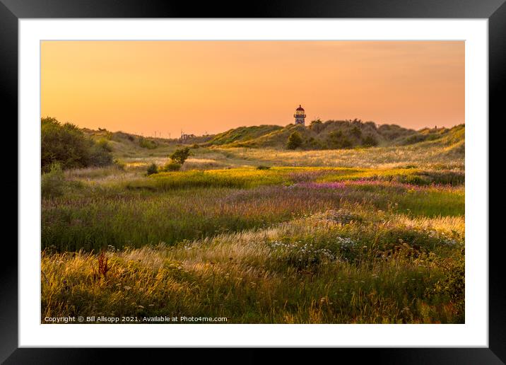 Talacre ablaze. Framed Mounted Print by Bill Allsopp