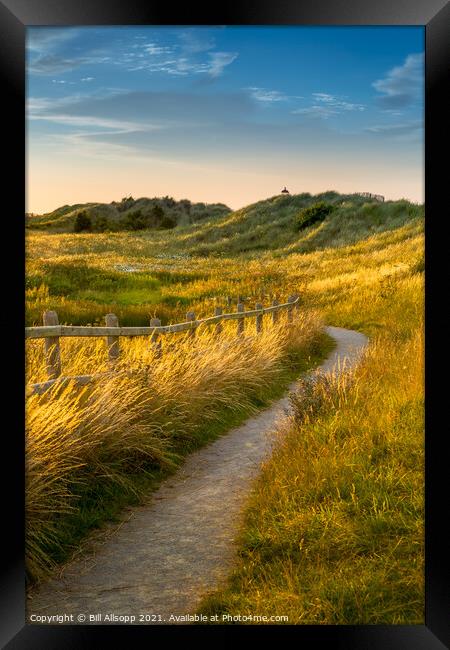 Path through Talacre dunes. Framed Print by Bill Allsopp