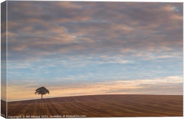 A Lone tree at sunrise. Canvas Print by Bill Allsopp