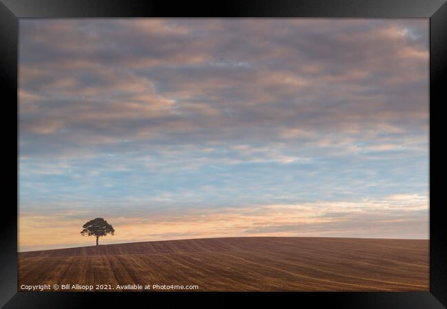 A Lone tree at sunrise. Framed Print by Bill Allsopp