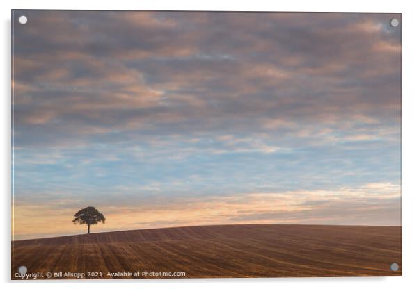 A Lone tree at sunrise. Acrylic by Bill Allsopp