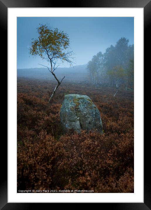 Surprise View , Lone Silver Birch Derbyshire Peak  Framed Mounted Print by That Foto