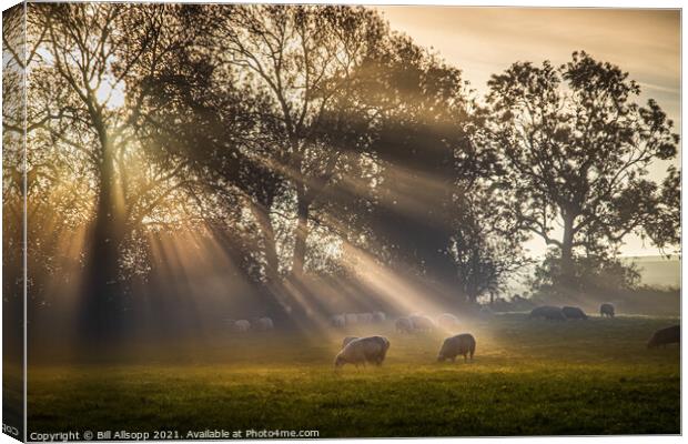 A new day's rays #2 Canvas Print by Bill Allsopp