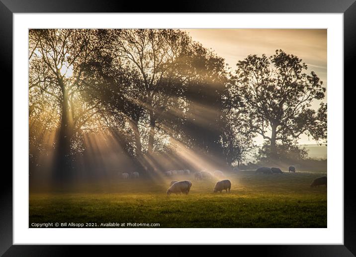 A new day's rays #2 Framed Mounted Print by Bill Allsopp