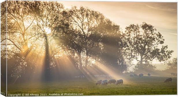 A new day's rays  Canvas Print by Bill Allsopp