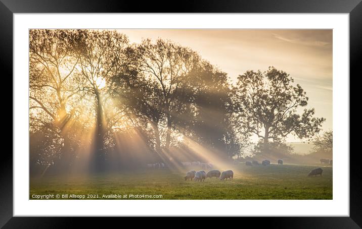 A new day's rays  Framed Mounted Print by Bill Allsopp