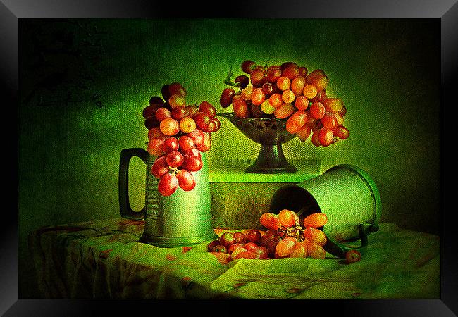 Grapes Grapes Grapes. Framed Print by Irene Burdell