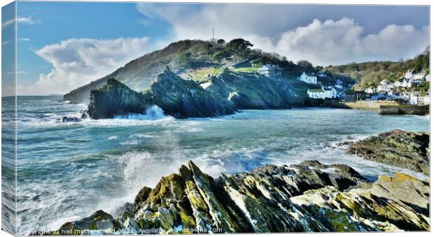 Gateway To Polperro Harbour. Canvas Print by Neil Mottershead