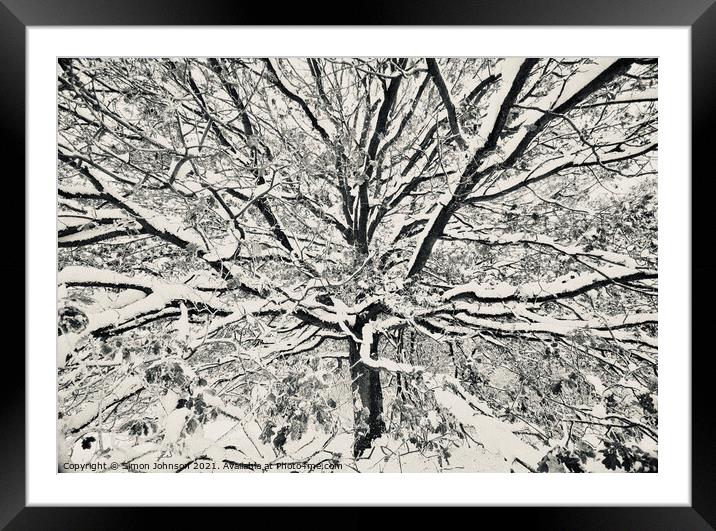 winter tree Framed Mounted Print by Simon Johnson