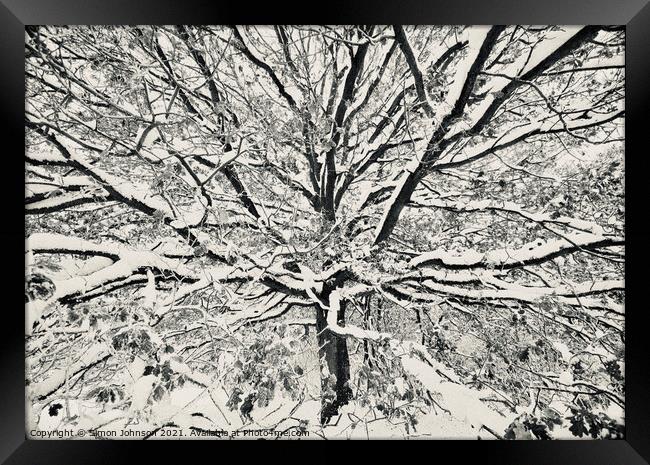 winter tree Framed Print by Simon Johnson