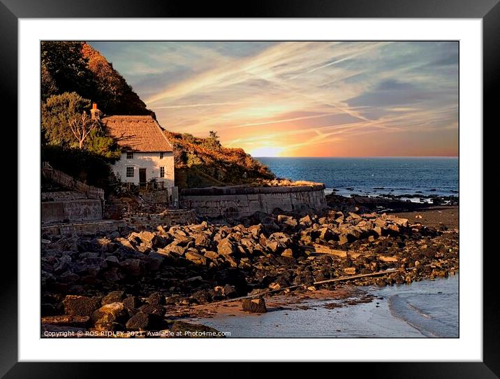 Little cottage by the sea Framed Mounted Print by ROS RIDLEY