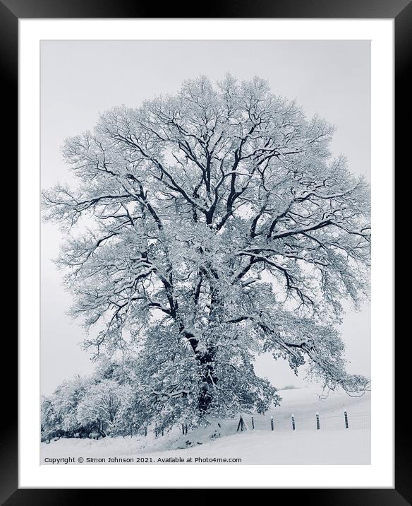 frosted trere Framed Mounted Print by Simon Johnson