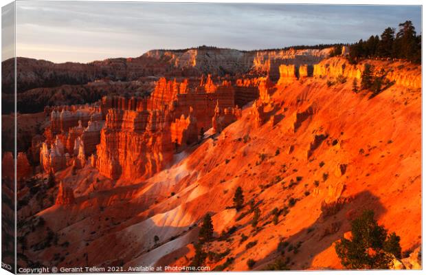 Bryce Canyon from Sunrise Point, early summer morning light Canvas Print by Geraint Tellem ARPS