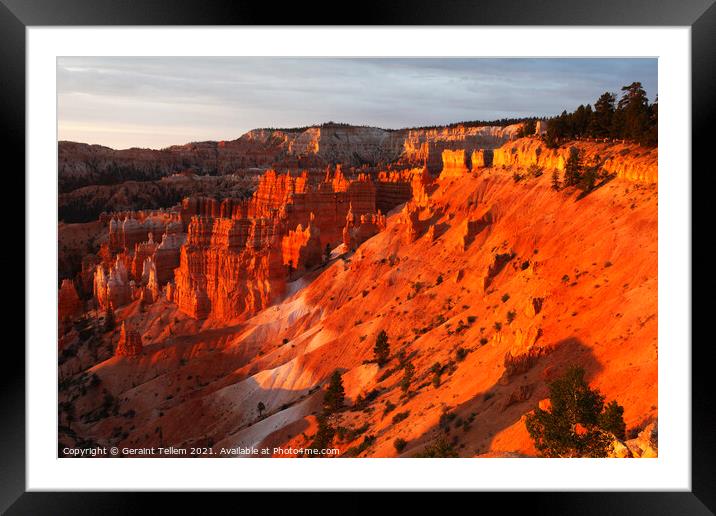 Bryce Canyon from Sunrise Point, early summer morning light Framed Mounted Print by Geraint Tellem ARPS