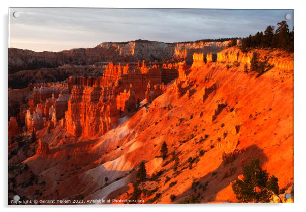 Bryce Canyon from Sunrise Point, early summer morning light Acrylic by Geraint Tellem ARPS