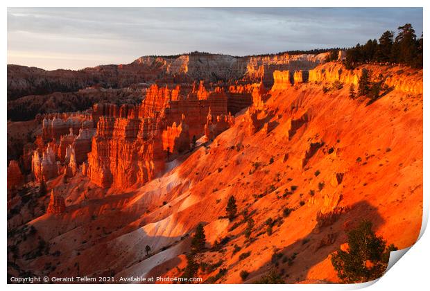 Bryce Canyon from Sunrise Point, early summer morning light Print by Geraint Tellem ARPS