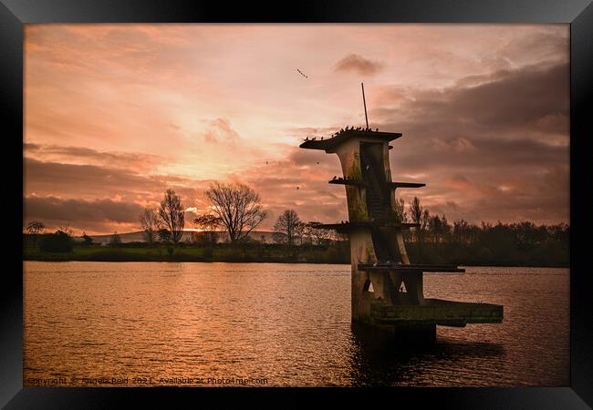 Coate Sunrise Diving Board Framed Print by Reidy's Photos