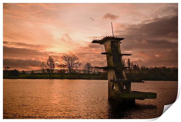 Coate Sunrise Diving Board Print by Reidy's Photos