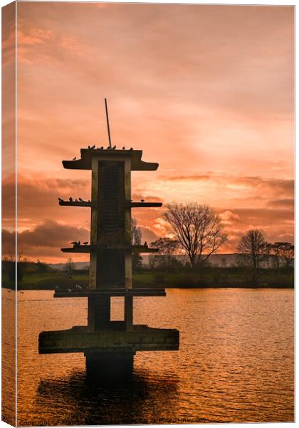 Golden Coate Water Canvas Print by Reidy's Photos