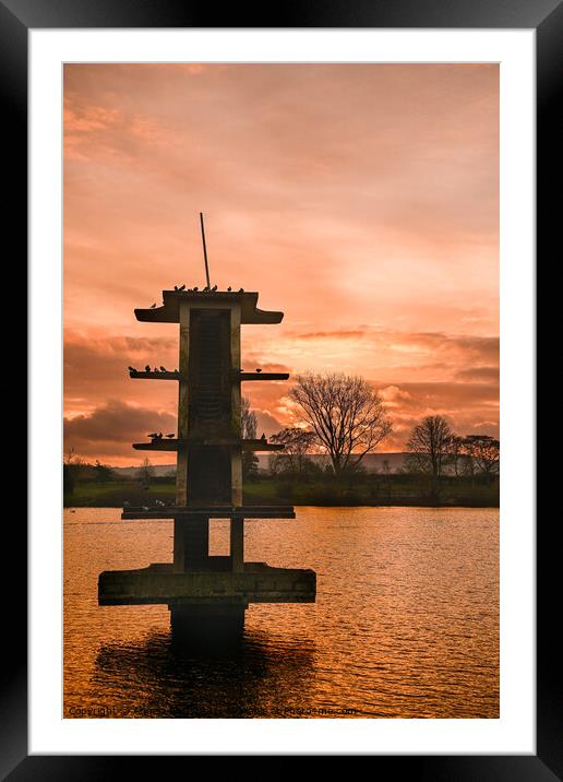 Golden Coate Water Framed Mounted Print by Reidy's Photos