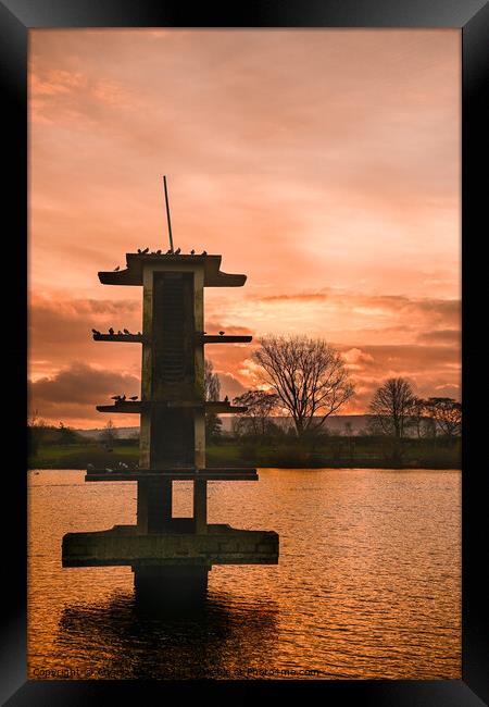 Golden Coate Water Framed Print by Reidy's Photos