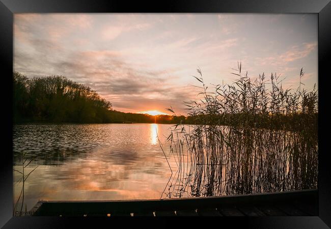 Sunset Reflection Coate Water Framed Print by Reidy's Photos