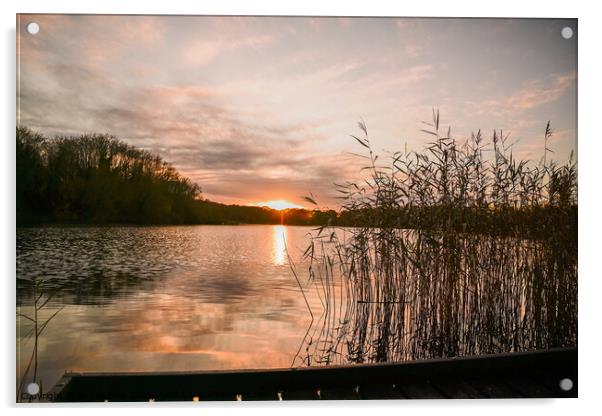 Sunset Reflection Coate Water Acrylic by Reidy's Photos