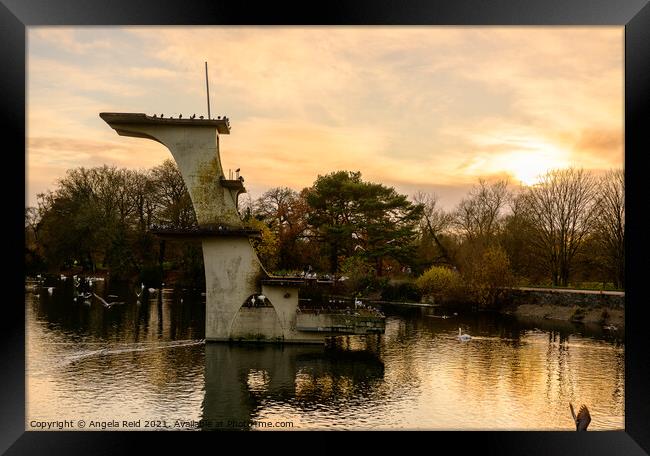 Golden Diving Board at Coate Water Framed Print by Reidy's Photos