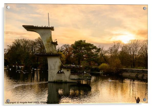 Golden Diving Board at Coate Water Acrylic by Reidy's Photos