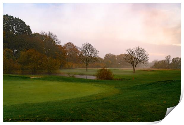 Misty Green Broome Manor Golf Course Print by Reidy's Photos