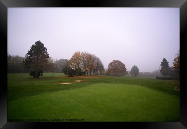 Broome Manor Golf Course Framed Print by Reidy's Photos