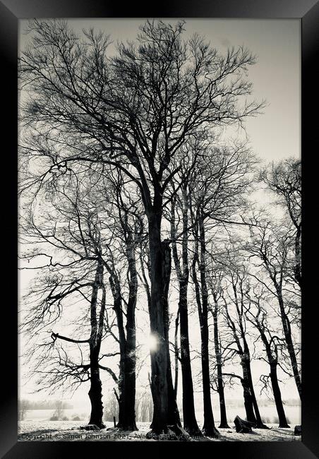 winter trees Framed Print by Simon Johnson